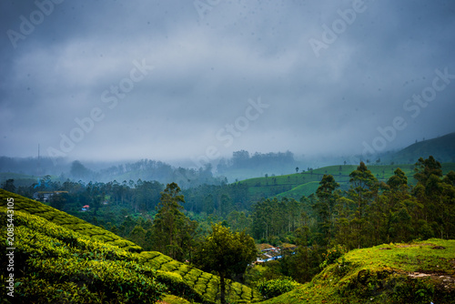 Monsoon Landscape and tourism in Munnar Kerala India