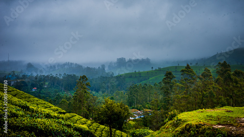 Monsoon Landscape and tourism in Munnar Kerala India