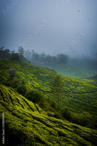 Monsoon Landscape and tourism in Munnar Kerala India
