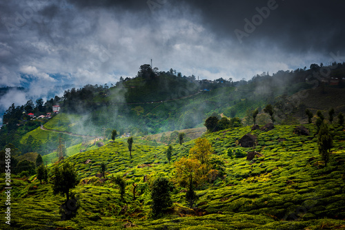 Monsoon Landscape and tourism in Munnar Kerala India