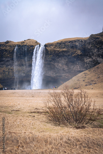 Seljalandsfoss, Iceland-march 18, 2025:vertical photograph of people visit Seljalandsfoss, one of Iceland's most famous waterfalls south of Reykjavik, on a cloudy day.