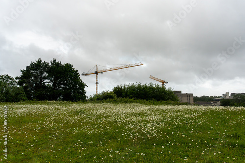 Photos Two yellow construction cranes working over a building site.