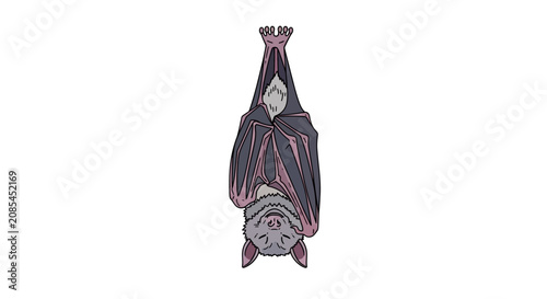 Vector illustration of a grey bat hanging upside down by its claws with dark purple wings folded around its furry body, isolated on a white background for nature and animal themes.