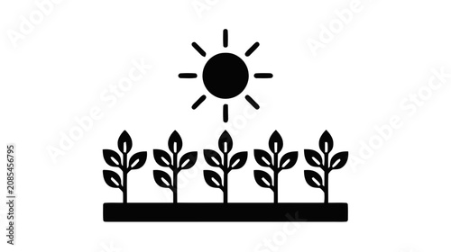 Vector illustration of icon of a sun shining over a row of plants in the soil on a transparent background