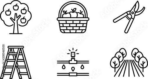 Fruit orchard pomology icons with apple tree and basket