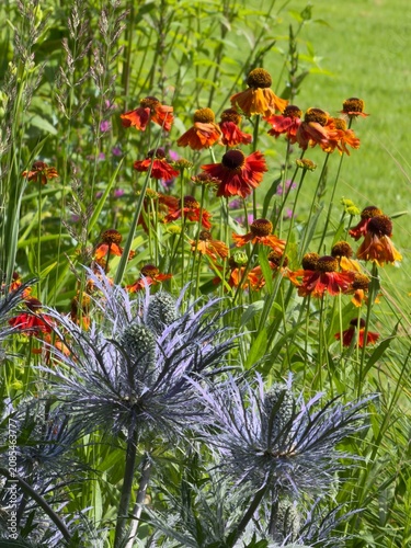 Bright flowers bloom in a garden with green grass and lots of sunlight during the summer season