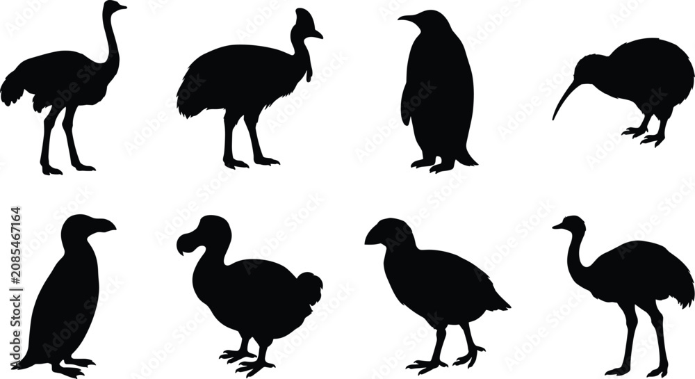 Obraz premium Flightless Bird Silhouette Vector Collection with Penguin, Kiwi, Ostrich and Large Ground Birds