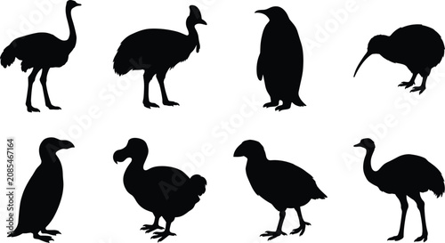 Flightless Bird Silhouette Vector Collection with Penguin, Kiwi, Ostrich and Large Ground Birds