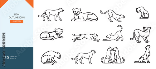 Photography Lion outline icon set, minimalist wild cat vector illustrations, 50 line art lio