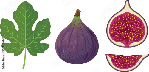 Foto Purple fig fruit vector set featuring whole ripe fig prominent green leaf cross