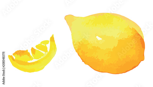 Lemon watercolor hand drawing, whole, slice citrus fruit, vector illustration isolated on white background