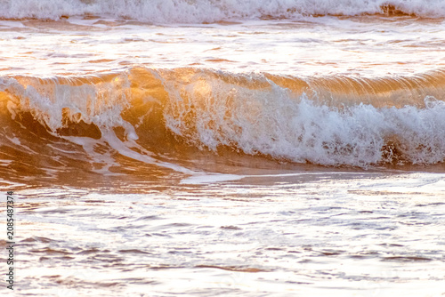 Breaking ocean wave with white foam crest at golden hour on Santa Monica Beach, Pacific Ocean, California, USA.