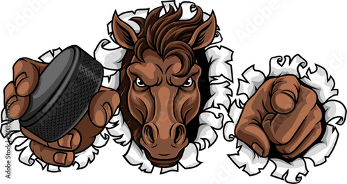 Horse mustang bronco stalli...