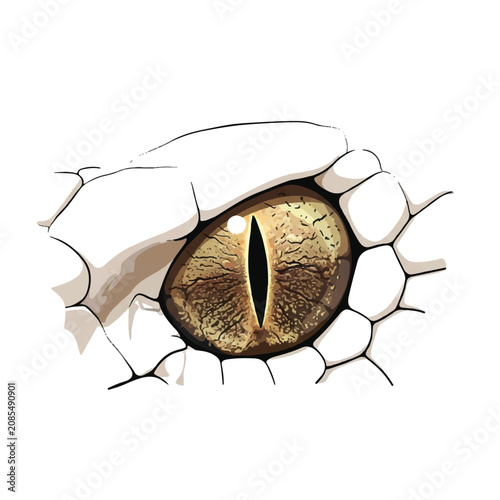 Detailed Vector Illustration of a Snake Eye Close Up Featuring Intricate Scales and Slit Pupil