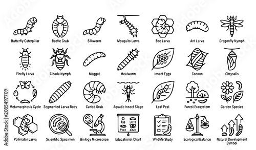 Obraz na płótnie Larva Line Art Insect Vector Collection with Editable Stroke for Nature and Biol