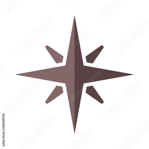 Sparkle Star Icon