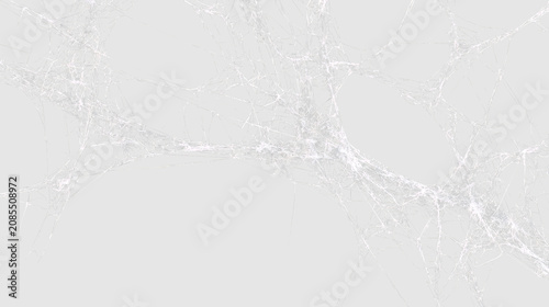Konstfotografi Web pattern on transparent background with thin strands and varying shapes
