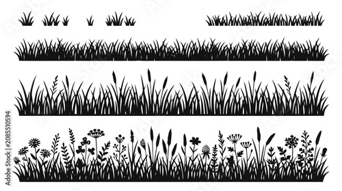Vector illustration of set of black silhouettes of grass, herbs and wild flowers on a transparent background