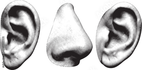 Tableau sur toile Halftone human nose and ears in profile against a white background with subtle s