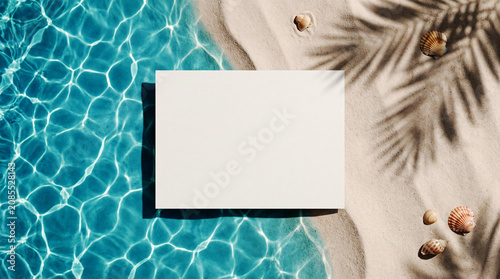 Minimalist summer card template on sunny beach sand with seashells