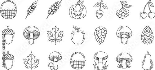 Black and white line collection of various fruits vegetables and plants in style line fruits grapes