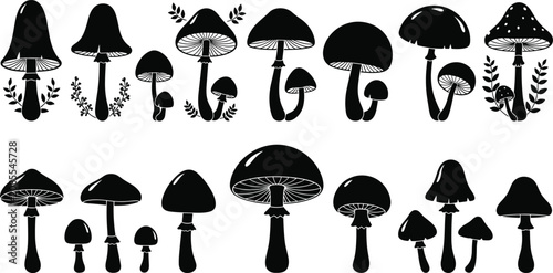 Black and white of various mushrooms and toadstools fungi mushroom shapes desig