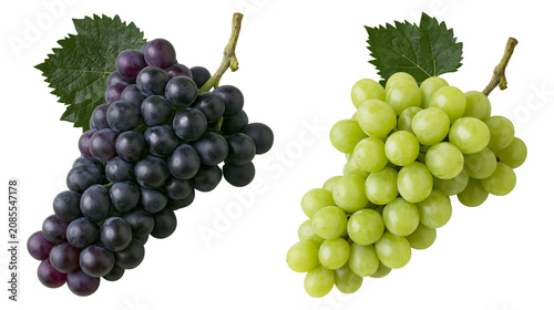 Foto Dark purple and green grapes with leaves on stems