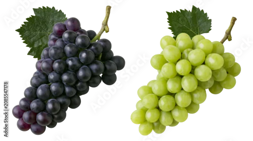 Fototapeta na wymiar Dark purple and green grapes with leaves on stems