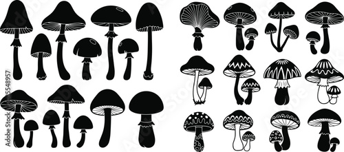 Black and white of various umbrellas and mushroom fungi mushrooms rain gear des