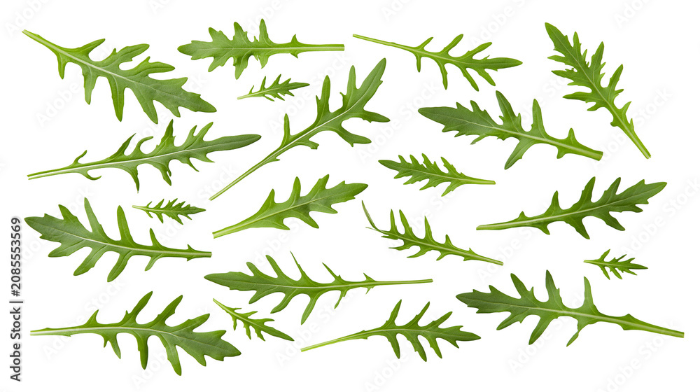 Fototapeta premium Green arugula leaves scattered on white