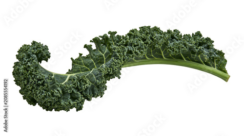 Tableau sur toile Curly green kale leaf with thick stem