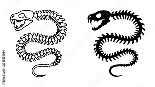 Foto Snake Skeleton Duo: A striking illustration of a snake skeleton presented in two styles – a detailed outline and a solid black silhouette, conveying a sense of anatomy and reptilian form
