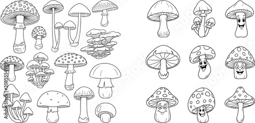 Colorful cartoon mushrooms and toadstools isolated on white background fungi de