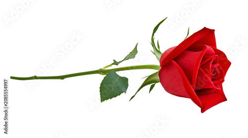 Fotografía Single red rose with green stem and leaves