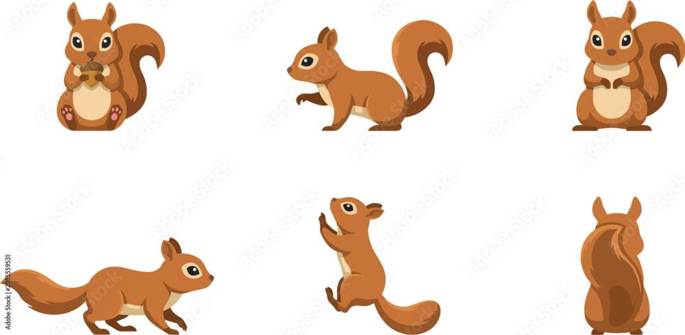 Fototapeta premium Set of cute cartoon squirrel characters in different poses isolated on a white background for design projects