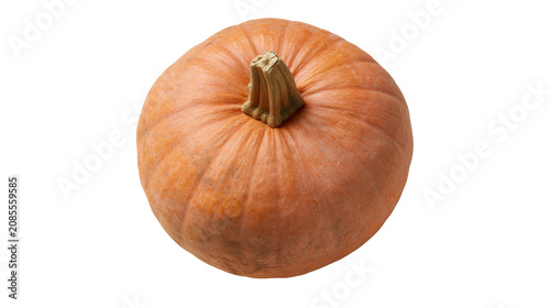 Obraz na plátně Orange pumpkin with ribbed texture and thick stem