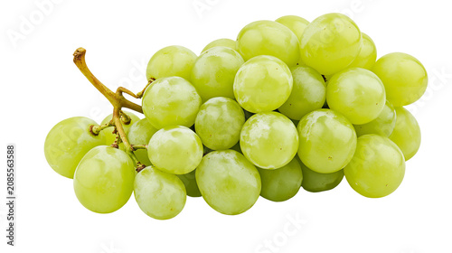 Fotografie Bunch of ripe green grapes on a stem