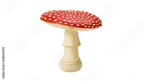 Foto Red mushroom with white spots and white stem