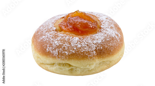 Plush donut dusted with powdered sugar and filled with apricot jam