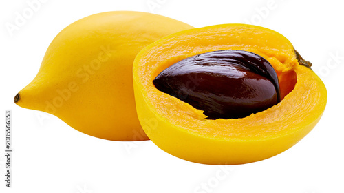 Obraz na plátně Yellow Pouteria campechiana fruit cut in half showing dark brown seed