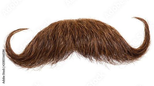 Fotografie Brown bushy handlebar mustache with curled ends