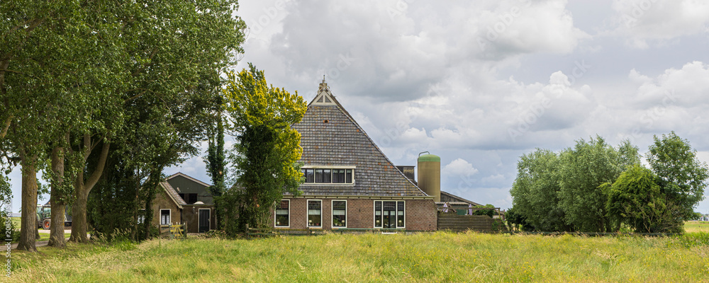 Obraz premium Traditional Dutch farmhouse in Friesland countryside with meadow, trees and overcast summer sky