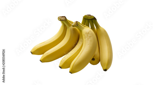 Tableau sur toile Bunch of ripe yellow bananas