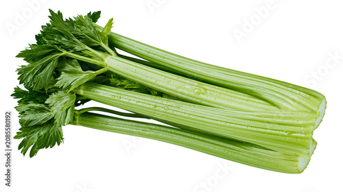 Tableau sur toile Fresh green celery stalks with leafy tops