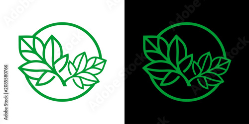 Фотография A minimalist illustration of leaves enclosed in a circle on a contrasting white and black background