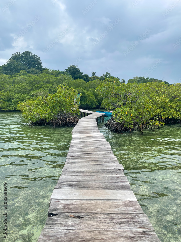 Fototapeta premium Wooden boardwalk over shallow turquoise water toward lush mangroves in Bocas del Toro, Panama, blue tropical sky.