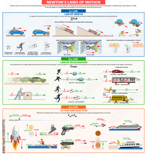 Newton's laws of motion infographic with examples for each principle. Educational physics chart explaining inertia, acceleration, and action-reaction for science study vector illustration