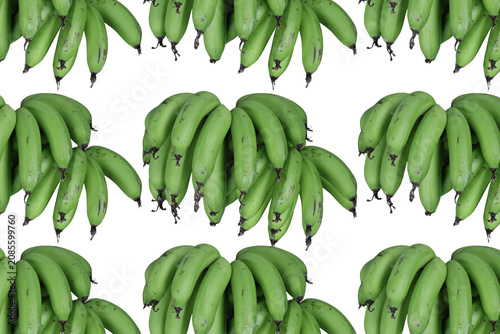 Obraz na plátně Varias bananas de color verde en un fondo transparente