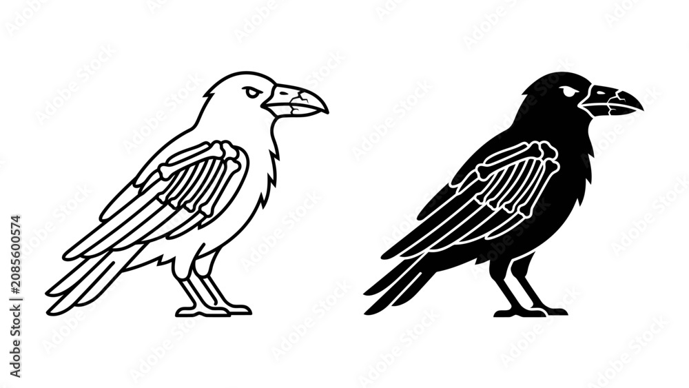 Fototapeta premium Raven Illustration: A stylized illustration of a raven, presented in both outline and silhouette, showcases the bird's iconic profile and distinctive features.