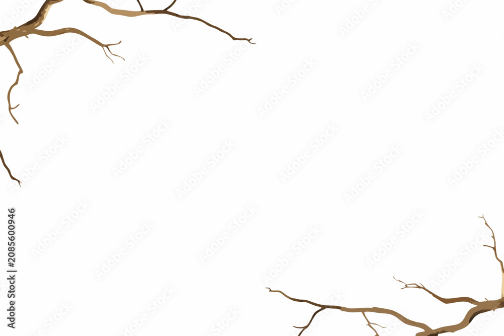 Obraz premium tree branches on white background minimal vector